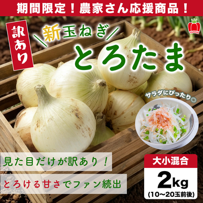 【９０３１】訳あり新玉ねぎ とろたま　２kg（10~20玉前後）