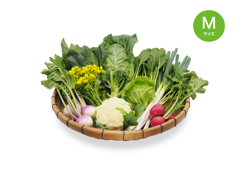 旬野菜セット4回お届け便！ Mサイズ 4回分 | 須崎農園オンラインショップ