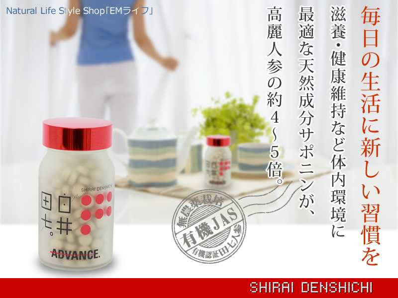 白井田七