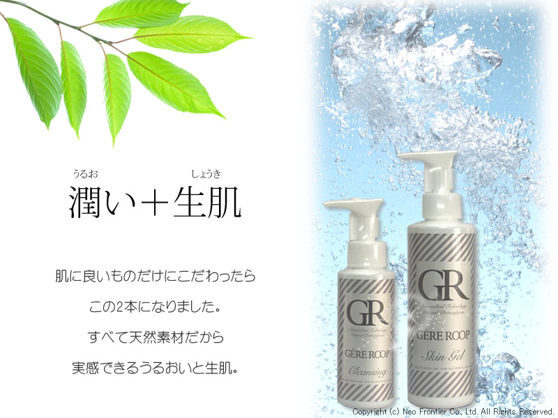 ジェレ・ループ
