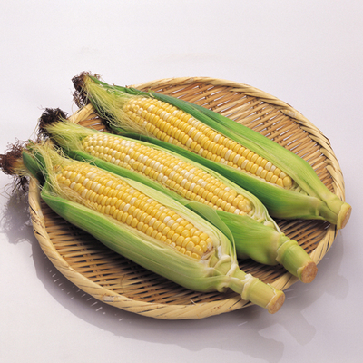 CORN004拡大_1581315754089_400.jpg