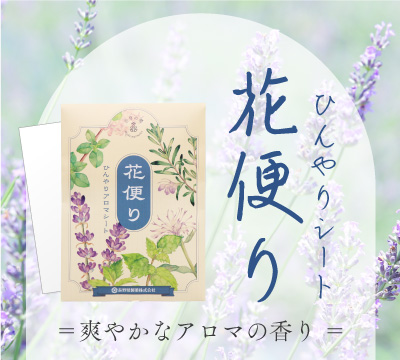 沖縄の薬草百科 沖縄の薬草百科―誰にでもできる薬草の利用法 やさしい煎じ方と