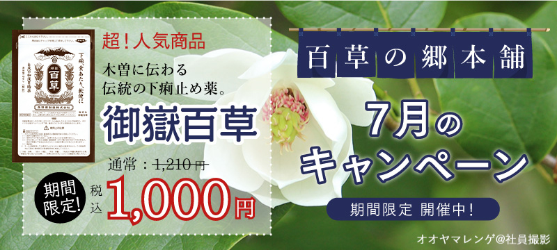 月替わりキャンペーン