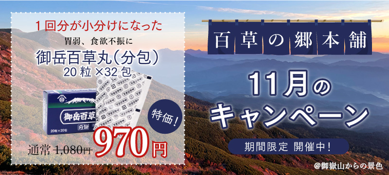 月替わりキャンペーン