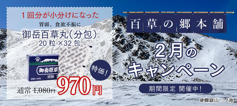 月替わりキャンペーン