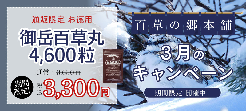 月替わりキャンペーン