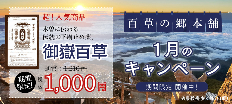 月替わりキャンペーン