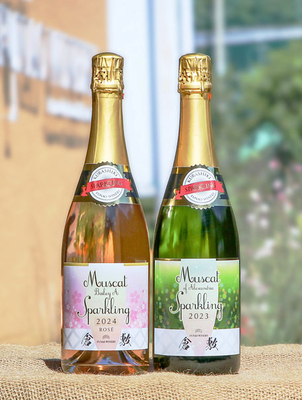 スパークリングワイン2本セット