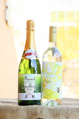 アレキスパ・やや辛（スペシャルエディションラベル）750ml2本セット