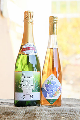 マスカット・オブ・アレキサンドリアスパークリングワイン、ピオーネジュース2本セット