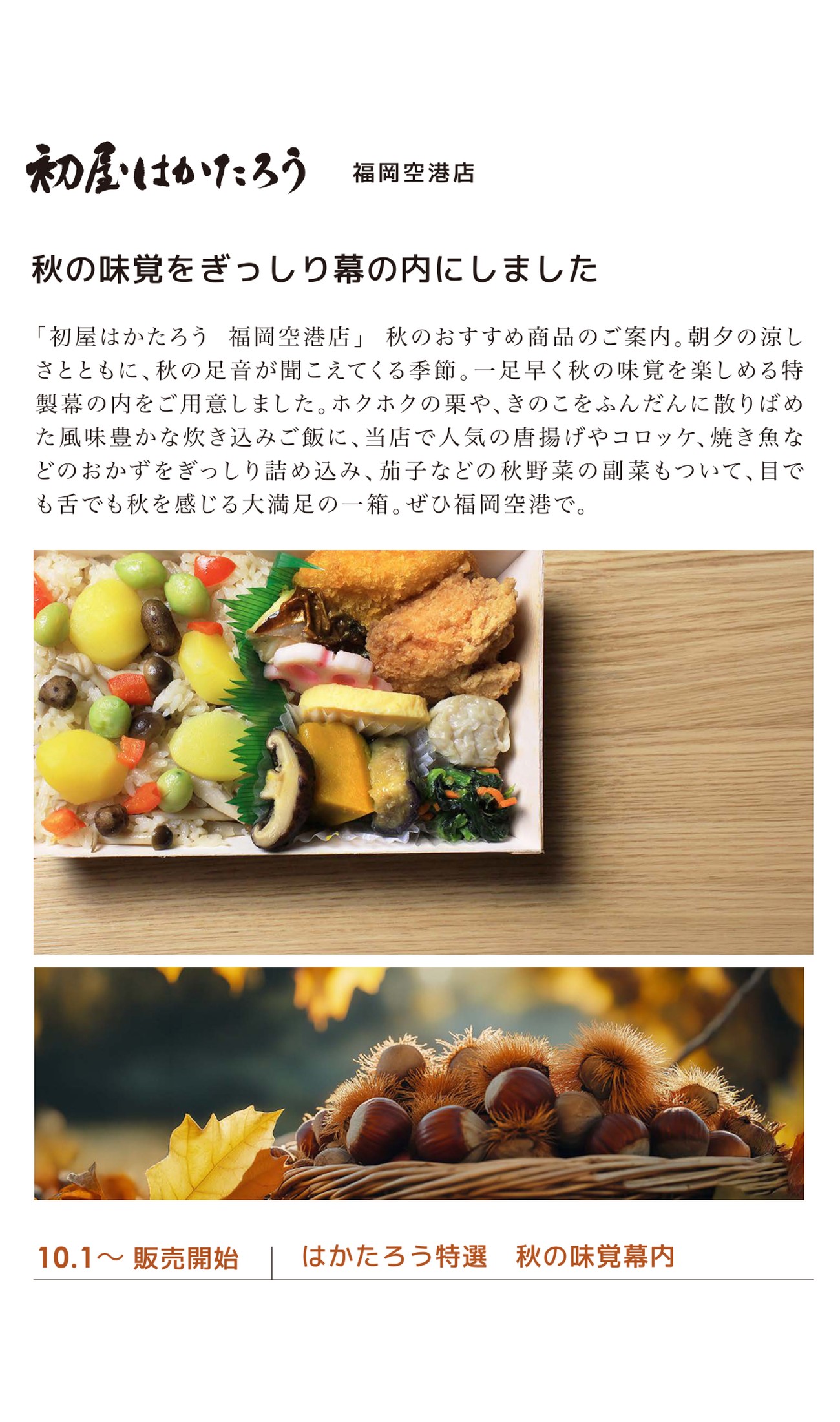 秋の味覚をぎっしり幕の内にしました はかたろう特選 秋の味覚幕内