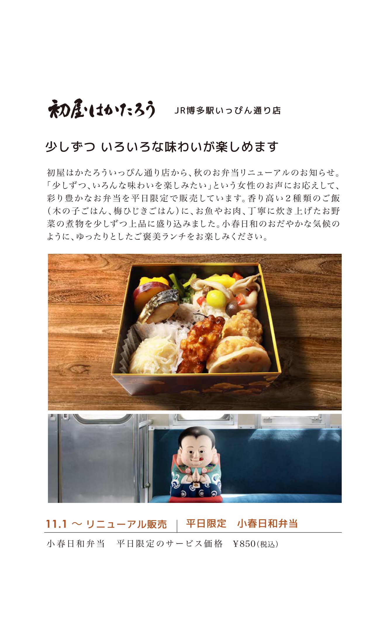 少しずつ いろいろな味わいが楽しめます 小春日和弁当