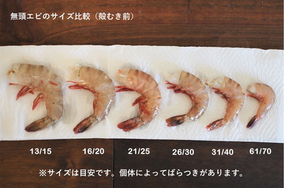 えびさん 中・ハーフサイズ】天然フラワー海老 21-25サイズ 0.9kg(約46尾