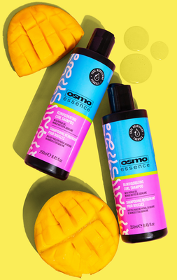 サスーンアカデミーコレクションDVDセット サスーンアカデミーコレクションDVDセット