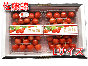 佐藤錦約600ｇ【約300ｇ&times;2】Lサイズ　ﾊﾟｯｸ詰め