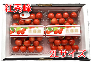 紅秀峰　約900ｇ（約450ｇ&times;2）2Lサイズ　パック詰め