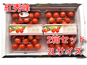 紅秀峰　約900ｇ（約450ｇ&times;2）2箱セット　パック詰め　2Lサイズ