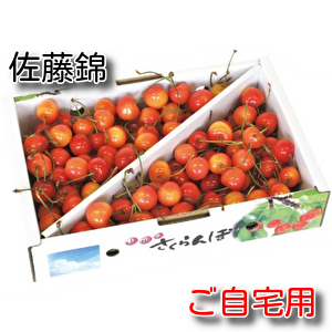 佐藤錦【約1㎏】ご自宅用　バラ詰め
