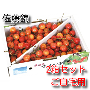 佐藤錦【約1㎏】ご自宅用　2箱セット　バラ詰め