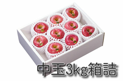 サンふじ中玉3kg箱詰 化粧箱入り