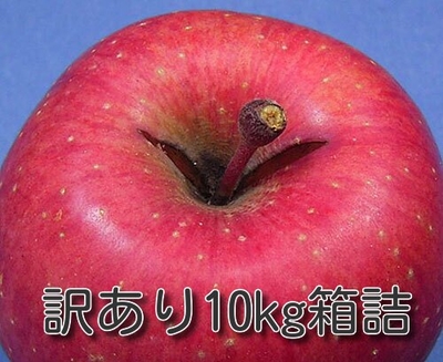 ご自宅用サンふじ訳あり10kg箱詰