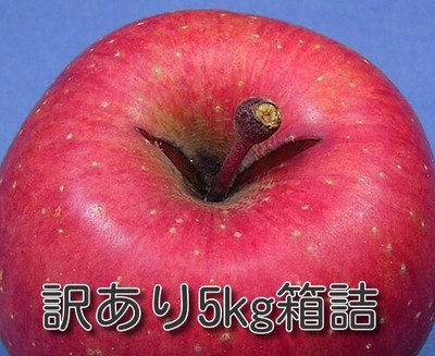 ご自宅用サンふじ訳あり5kg箱詰　当用箱入り