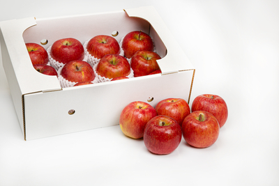 サンふじ 秀品 約3kg 　6から10玉前後入り