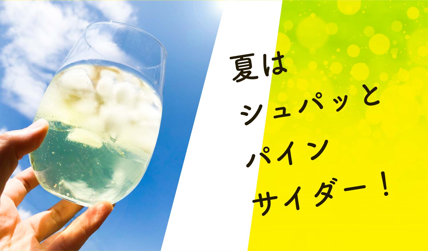パインサイダー