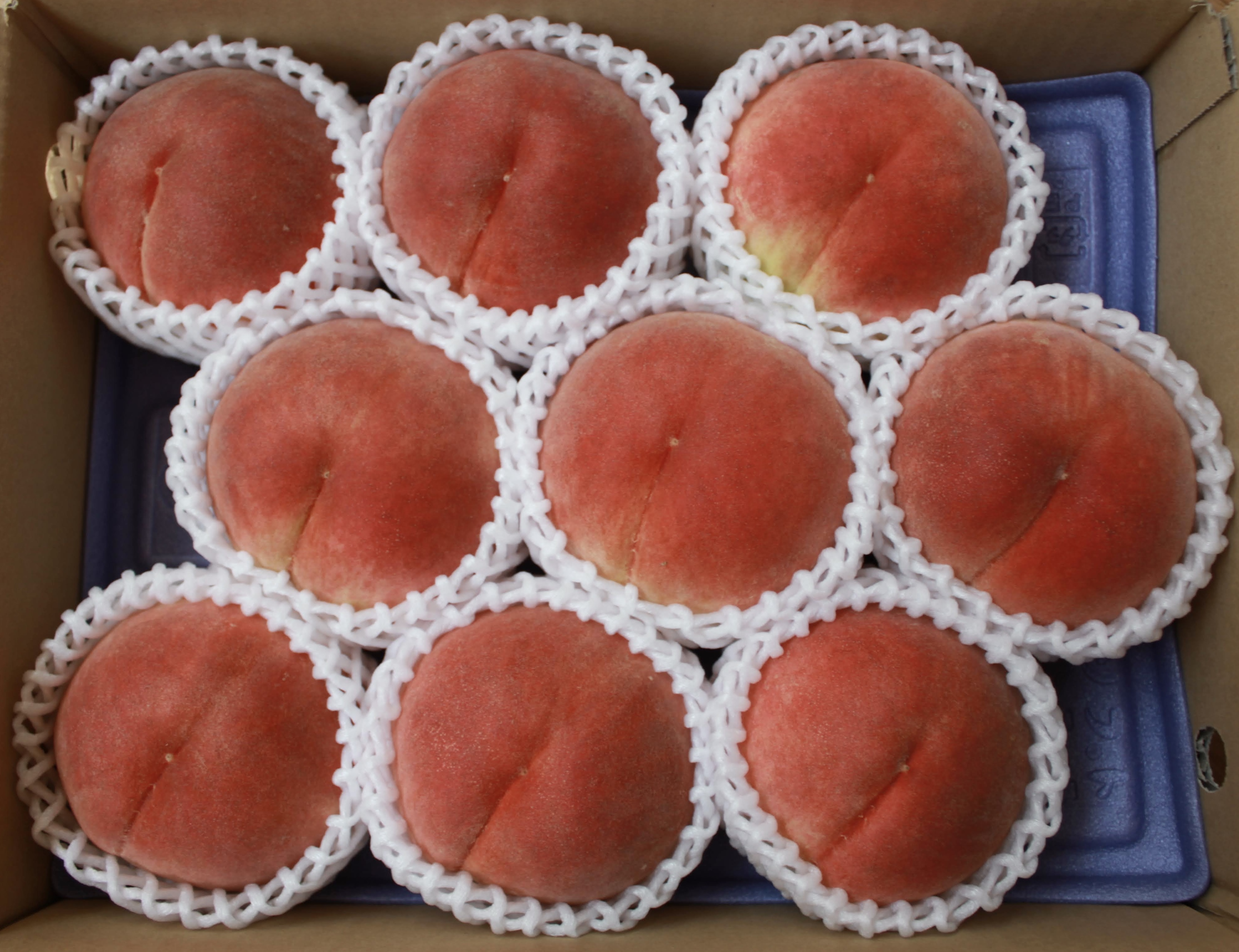 4kg 丁寧に育てた大玉桃！弦間農園自慢の「ふえふきの桃」 3kg