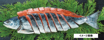 ★【全国送料無料】北海道日高沖 新巻鮭姿切身1.5㎏（冷凍便）