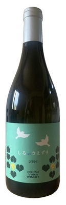 【大泉農園】しろのさえずり2024　750ml