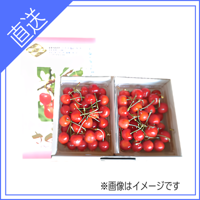 【送料無料】山形県産さくらんぼ(佐藤錦) Lサイズ以上 1㎏ バラ詰め (500g × 2個入り)