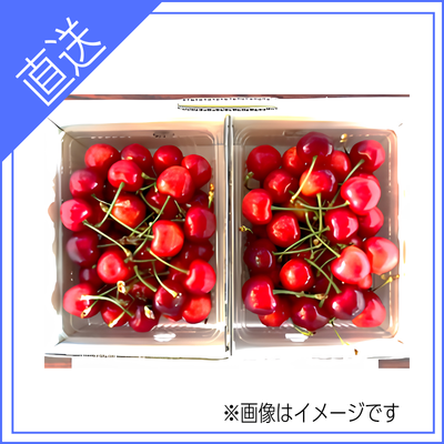 【送料無料】山形県産さくらんぼ(紅秀峰) Lサイズ以上 1㎏ バラ詰め (500g × 2個入)