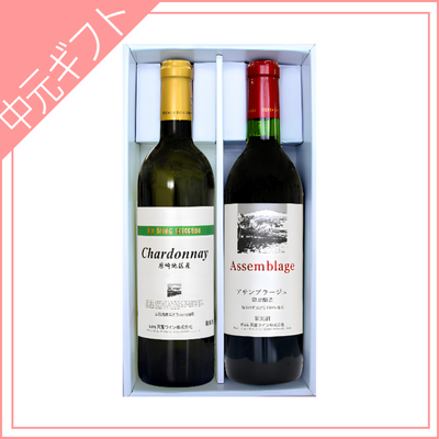 【天童ワイン】天童ワインギフトセット〈T2-28〉 （720ml&times;2）