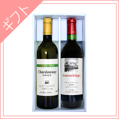 【天童ワイン】天童ワインギフトセット（T2-28） 720ml&times;2