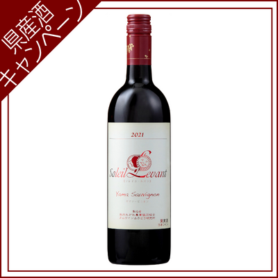 【ご愛飲ｷｬﾝﾍﾟｰﾝ ワイン⑮】月山ワイン　ソレイ・ユルバン　ヤマソービニオン　750ml