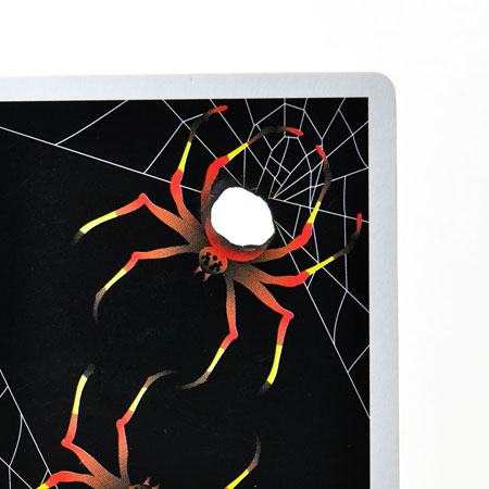 マジック 手品 Dpg スパイダーハンター I6237 ｏｎｌｉｎｅ ｓｈｏｐ