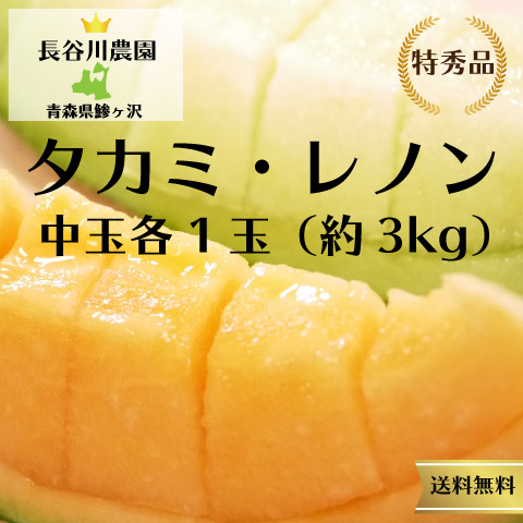 送料込みー青森県産特秀品タカミメロン+レノンメロン中玉各1玉計