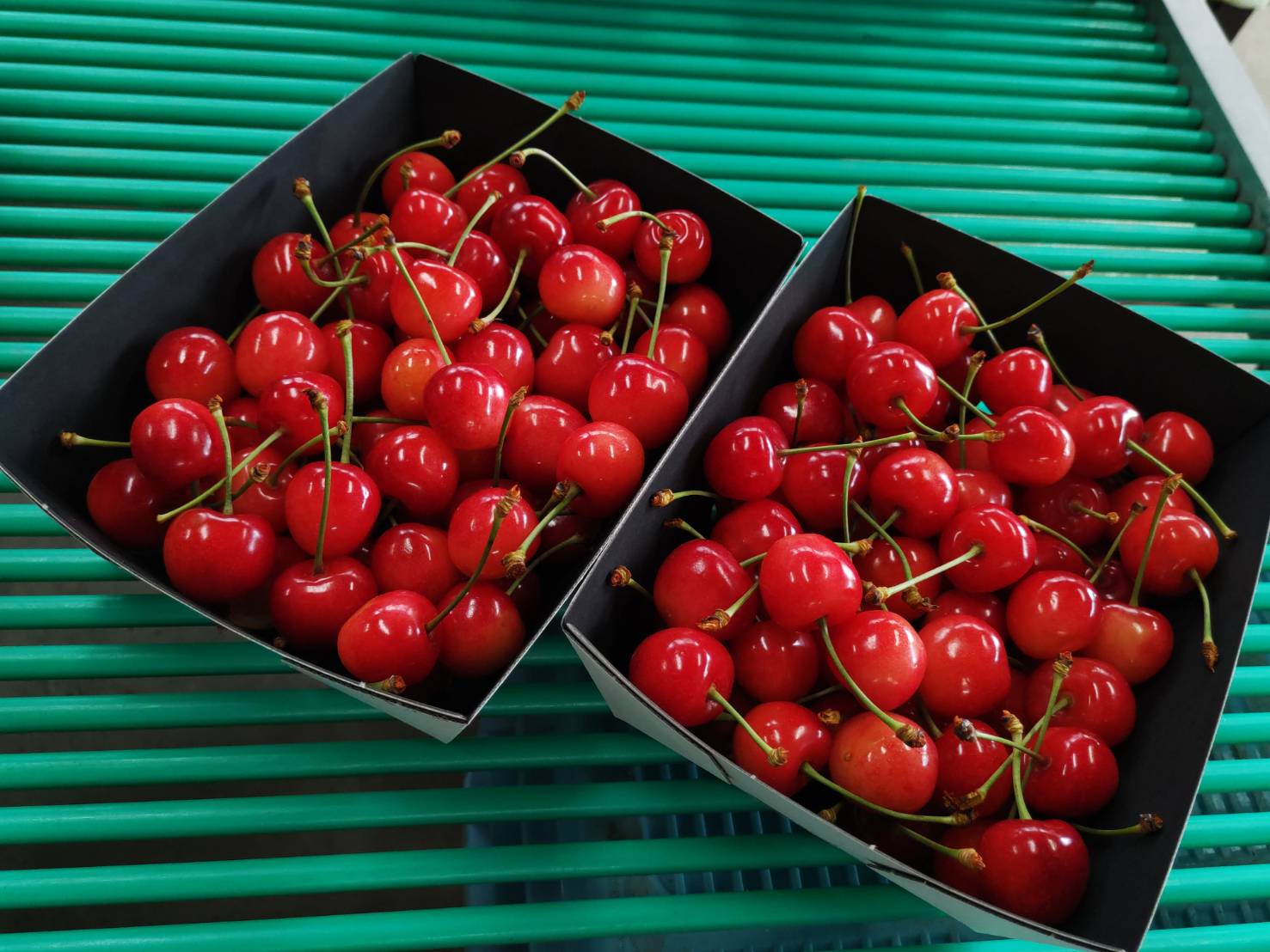 佐藤錦 800gﾊﾞﾗ | 浅野目農園