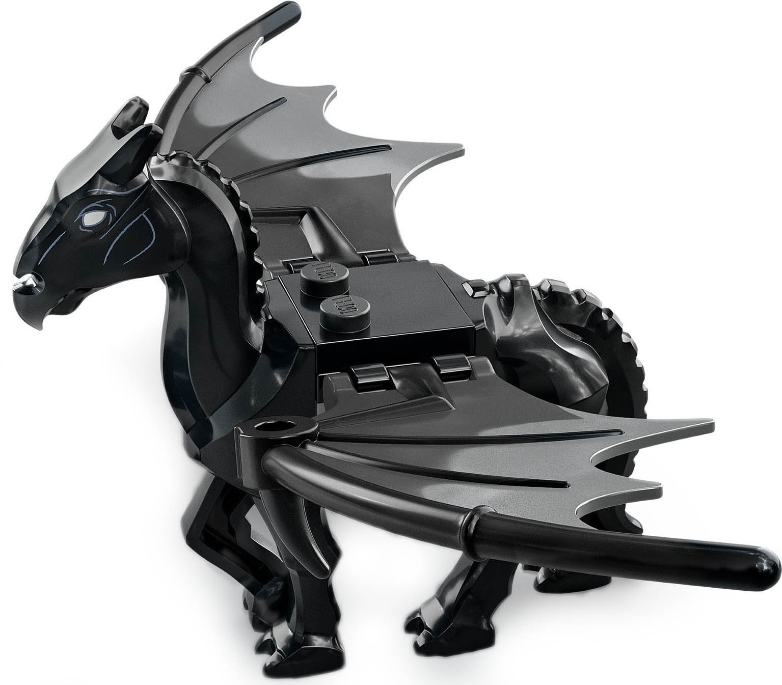 センターピース ホース 馬 TCCホース紹介 vol.10 📛✨ 🐴 レッドライヤ 🏡 NPO法人