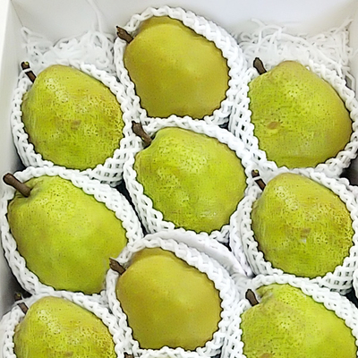 ラ・フランス（3L） 3kg 10コ入り