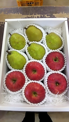 ラフランス＆ふじ　3㎏（約5個ずつ）