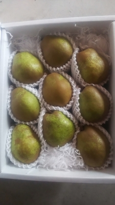 ラ・フランス（4L）3㎏　9コ入り