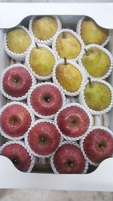 ラフランス＆ふじ　5㎏（約８個ずつ）