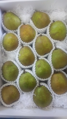 ラ・フランス（4L）5㎏　14コ入り