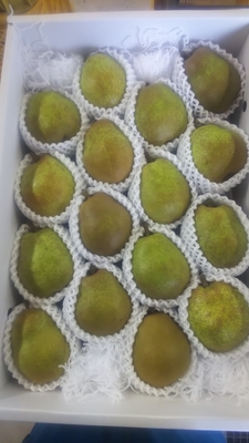 ラ・フランス（3L） 5kg 16コ入り