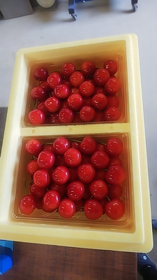 さくらんぼ（佐藤錦）１ｋｇ　クール便