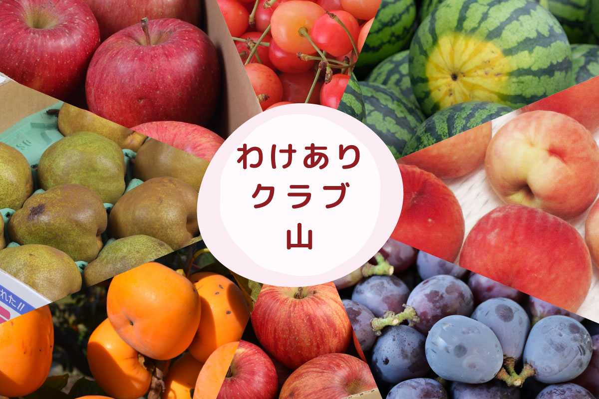 CW1-A ワケありクラブ 山 | 王将果樹園