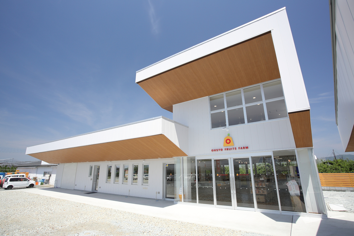 さくらんぼ狩り 60分 前売り券 | 王将果樹園