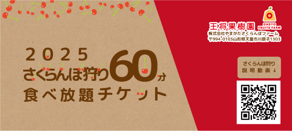 さくらんぼ狩り 60分 前売り券 | 王将果樹園